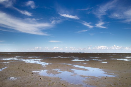 friedrichskoog_013_miko friedrichskoog_013_miko