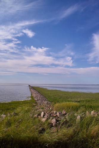 friedrichskoog_026_miko