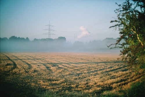 holten_31_miko holten_31_miko