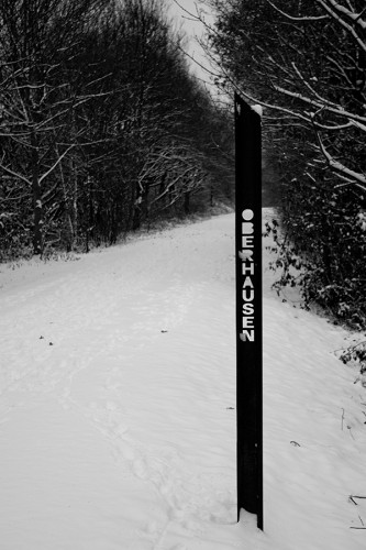 winter_01_miko winter_01_miko
