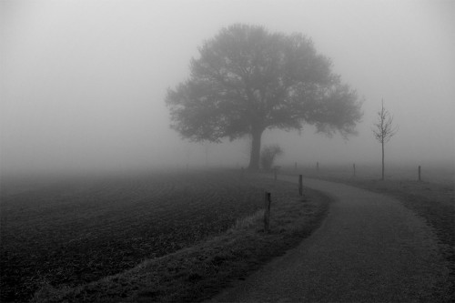 holten_48_miko