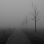 Im Nebel