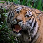 Ein Besuch im Duisburger Zoo