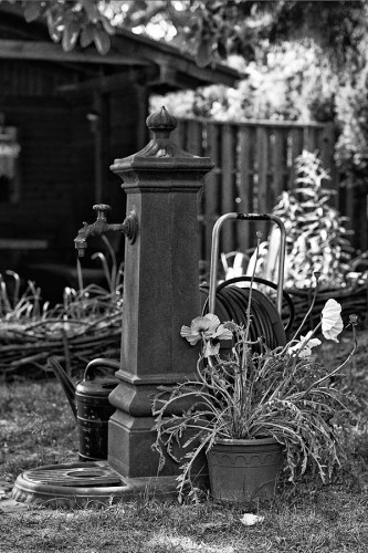 SDIM0961_sw_miko SDIM0961_sw_miko