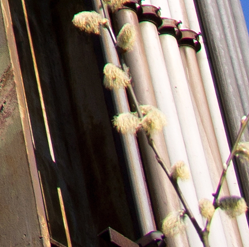 sigma_30mm_16_corner_crop_miko