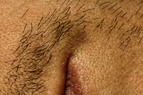 020-2013_crop_01_miko 020-2013_crop_01_miko