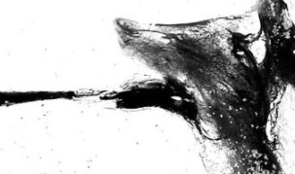 vogelgruss_miko
