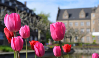 fruehling_auf_dem_friedensplatz